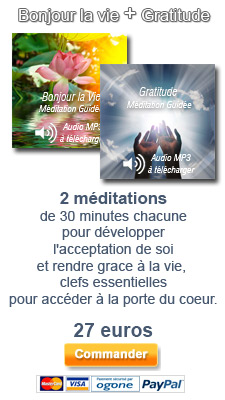 promotion éveil à soi 2 audios Bonjour la vie et Gratitude promotion éveil à soi 2 audios Bonjour la vie et Gratitude