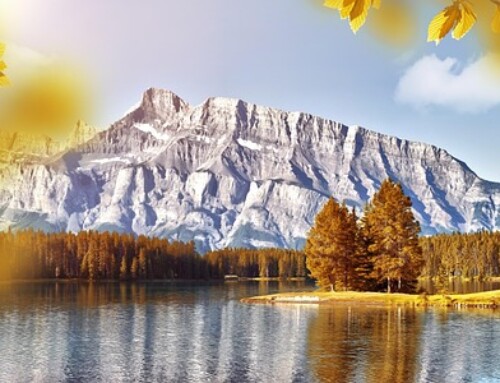 le pouvoir de la Présence